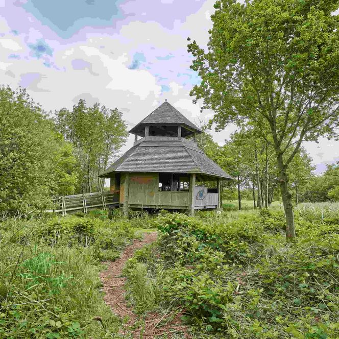 Blick auf den Aussichtturm am Balksee im Sommer bei bewölken Himmel.