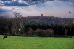 Aussicht über Wiese auf den Aussichtsturm Deutscher Olymp in Wingst