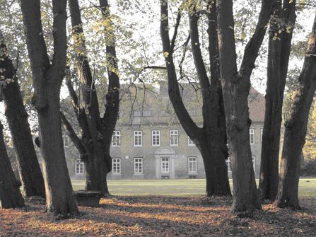 Herbststimmung im Graf Bremerische Park, Cadenberge, Bäume im Vordergrund, Gutshaus im Hintergrund