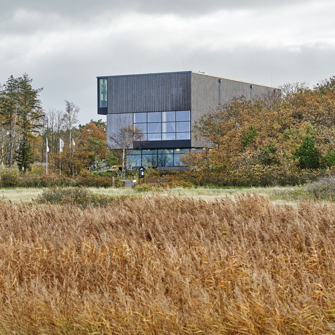 Der Blick führt über orangefarbene Gräser zum Wattenmeer-Besucherzentrum (WattBZ), das umgeben ist von Bäumen.