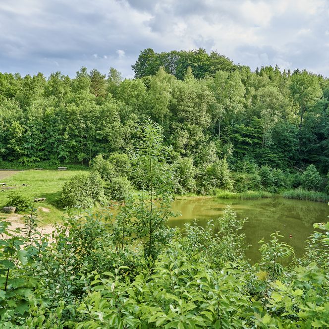 Der Blick führt aus der Vogelperspektive auf ein Waldstück mit See und Rastplatz in der Nähe vom Campingplatz Knaus in der Wingst.