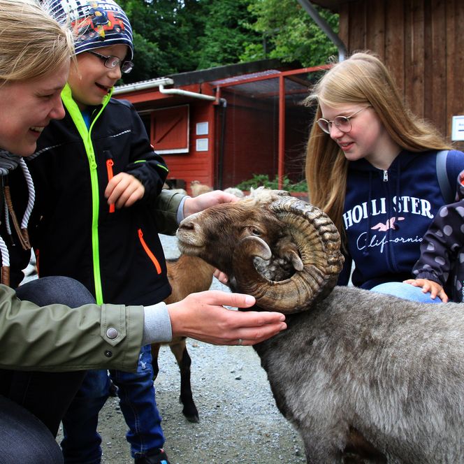 Mutter mit Kindern und Ziege im Streichelzoo im Wingster Waldzoo