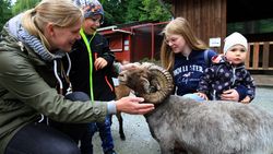 Mutter mit Kindern und Ziege im Streichelzoo im Wingster Waldzoo