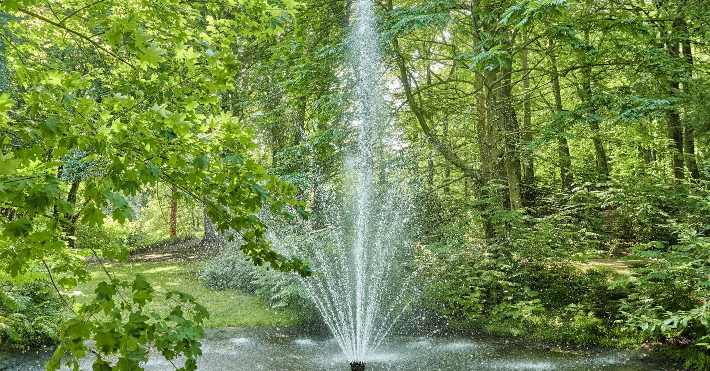Kurpark Wingst, Graf Bremischer Park Cadenberge Mori Garten Odisheim
