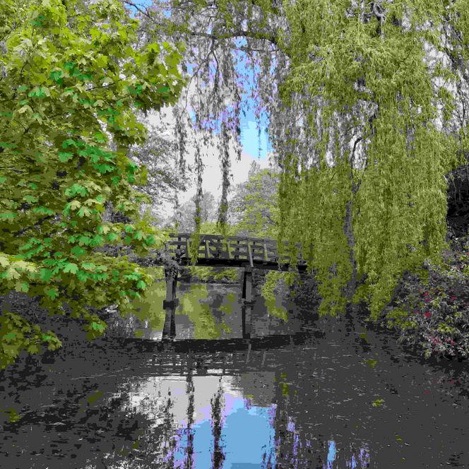Blick auf eine Holzbrücke die über die sommerliche Medem spannt. Das Ufer ist umsäumt von grünen Bäumen.
