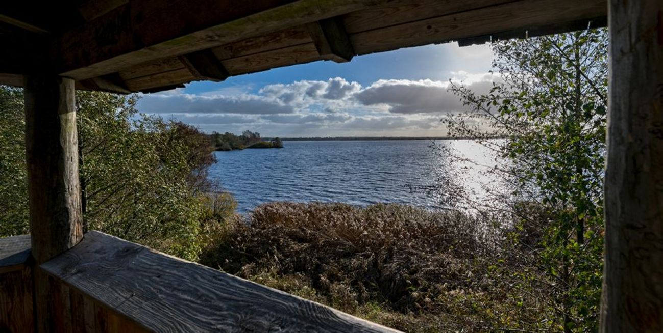 Sicht auf den Balksee vom Beobachtungsturm heraus