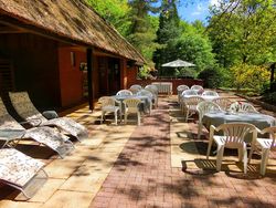 Eine sonnige Außenterrasse am Kurpark-Treff im Wald lädt mit Liegestühlen zur Pause ein