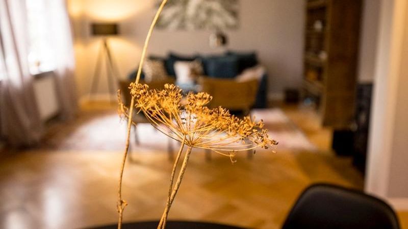 Unscharfe Sicht auf ein Wohnzimmer. im Vordergrund eine Blume