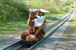 ein Mensch im Osterhasenkostüm rodetl die Sommerodelbahn runter und winkt
