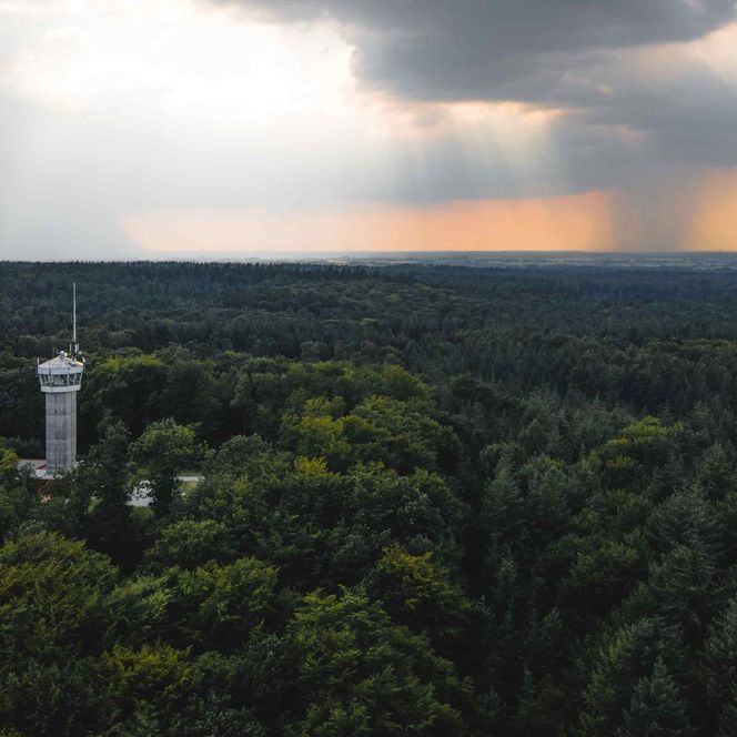 Luftbild mit Blick über den Wingster Wald und den Aussichtsturm Deutschen Olymp bei aufziehenden Regen