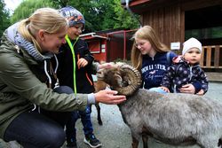 Eine Frau mit drei Kindern im Streichelgehege